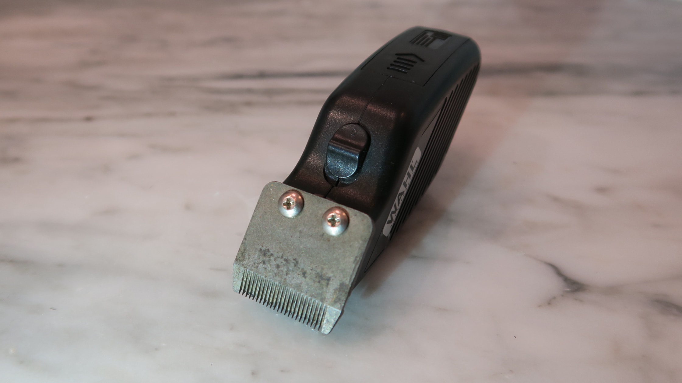 Wahl Compact Travel Trimmer after 6 months.