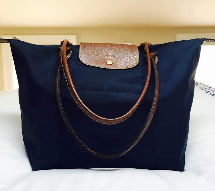 Love this hack of buying the Longchamp Le Pliage Pouch with Top Handle