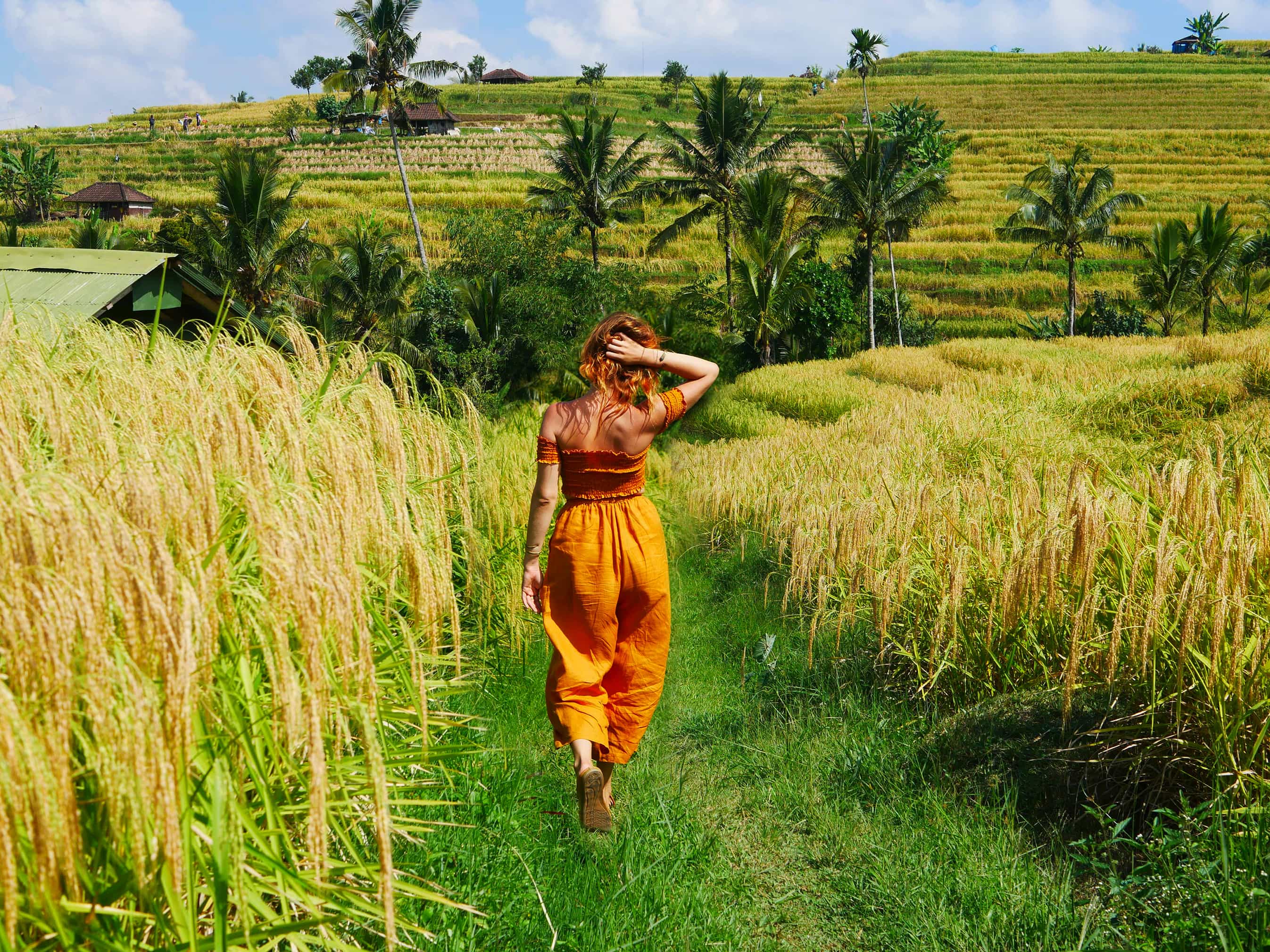 Lauren Ronquillo in Jatiluwih Rice Terraces, Bali Indonesia by Brianna D