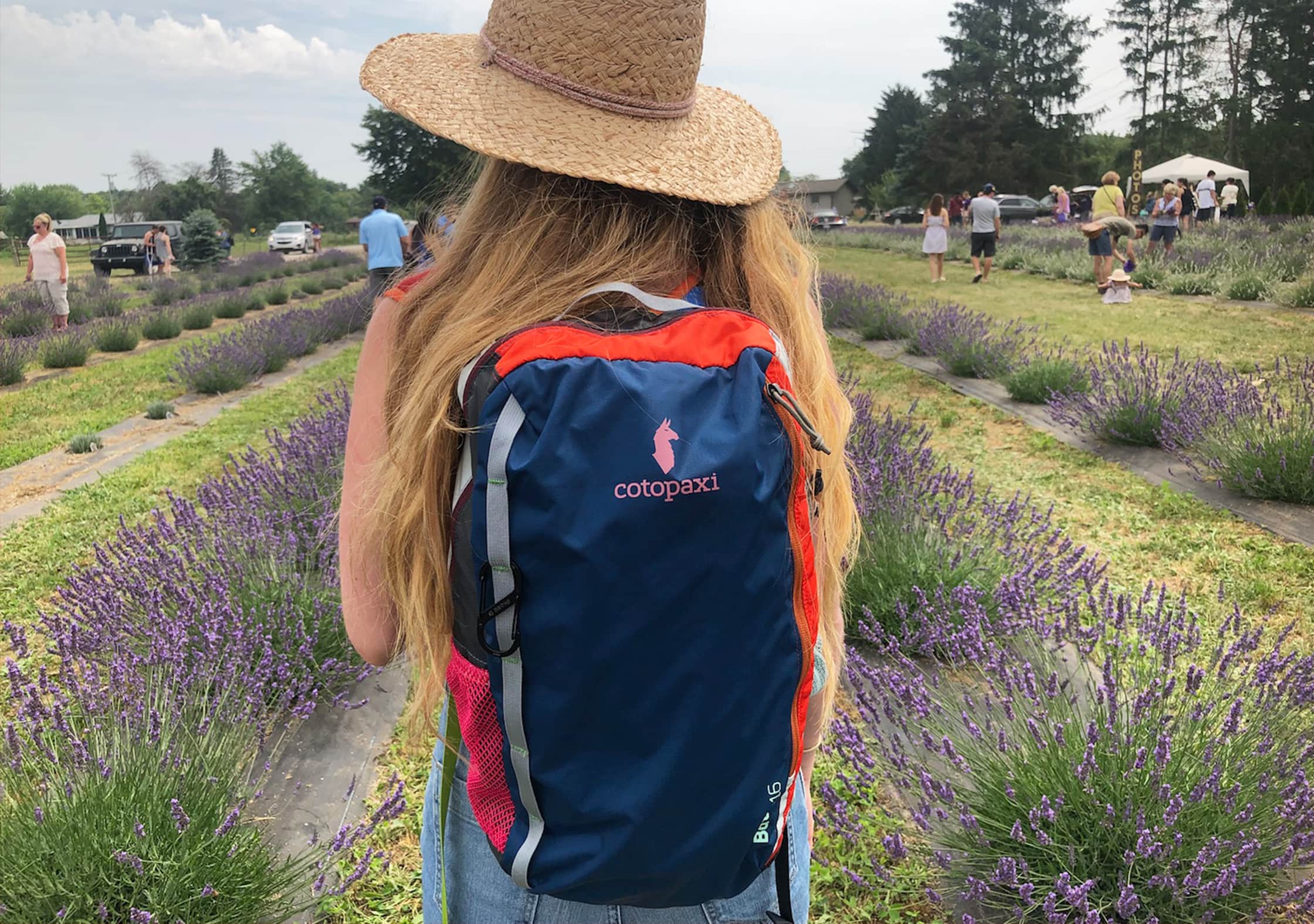 Cotopaxi Batac At Lavender Fields