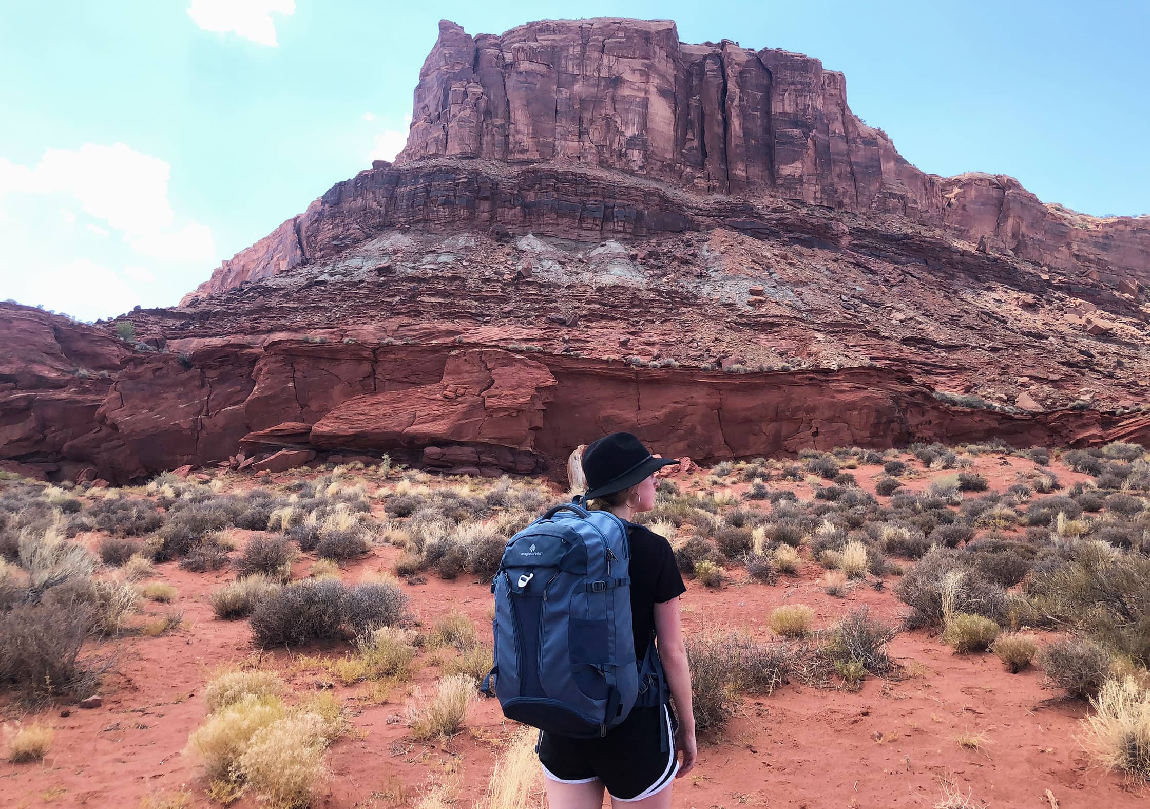 Eagle Creek Global Companion 40L Travel Pack in Moab, Utah