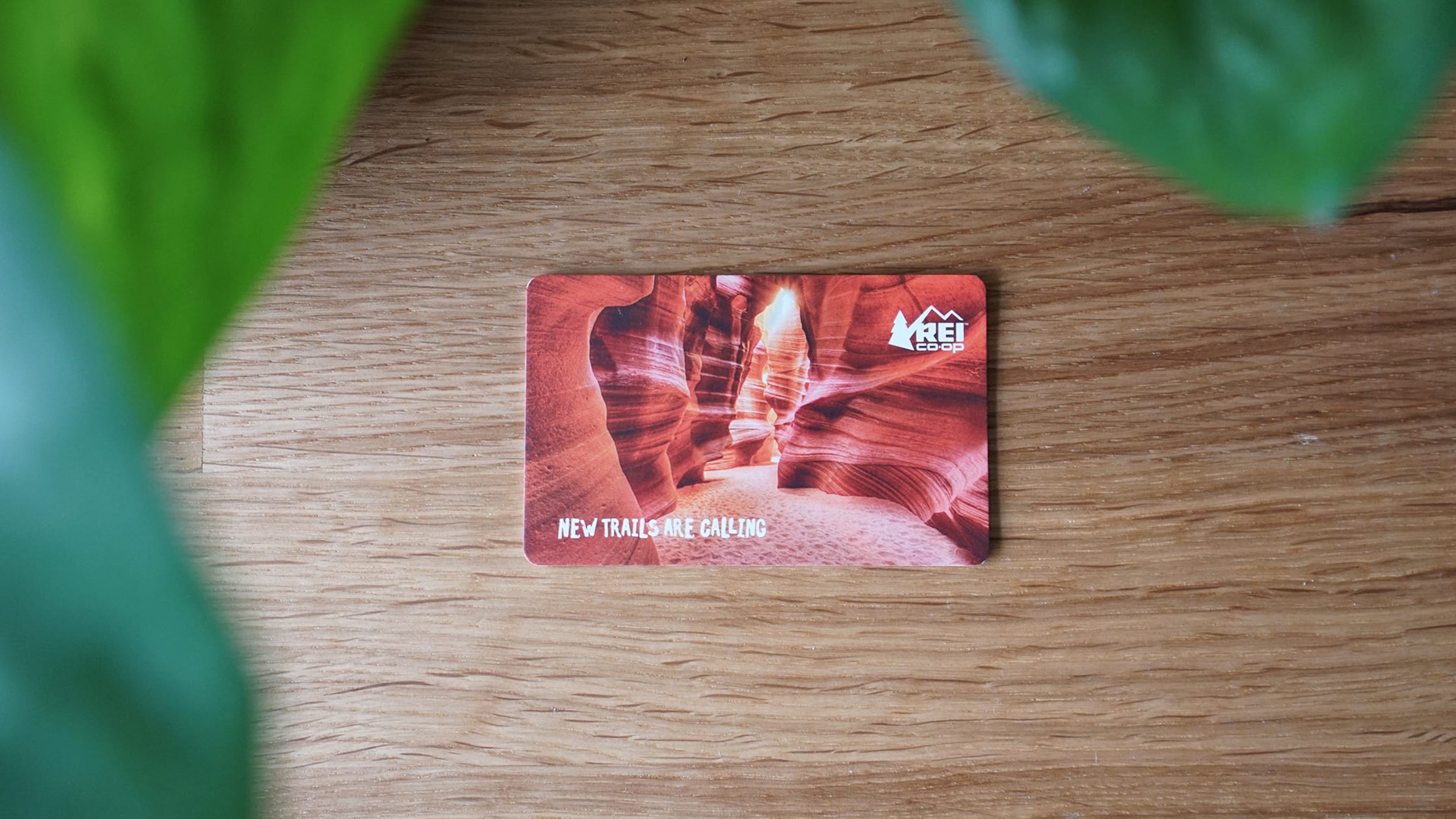 Ultimate Travel Gift Ideas Guide 2019 Pack Hacker