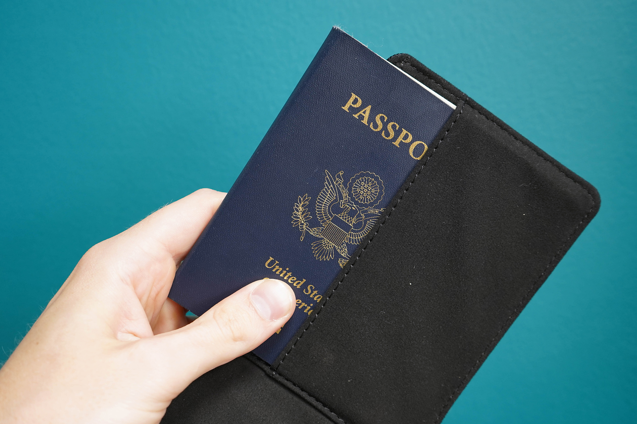 Aer Travel Wallet Passport