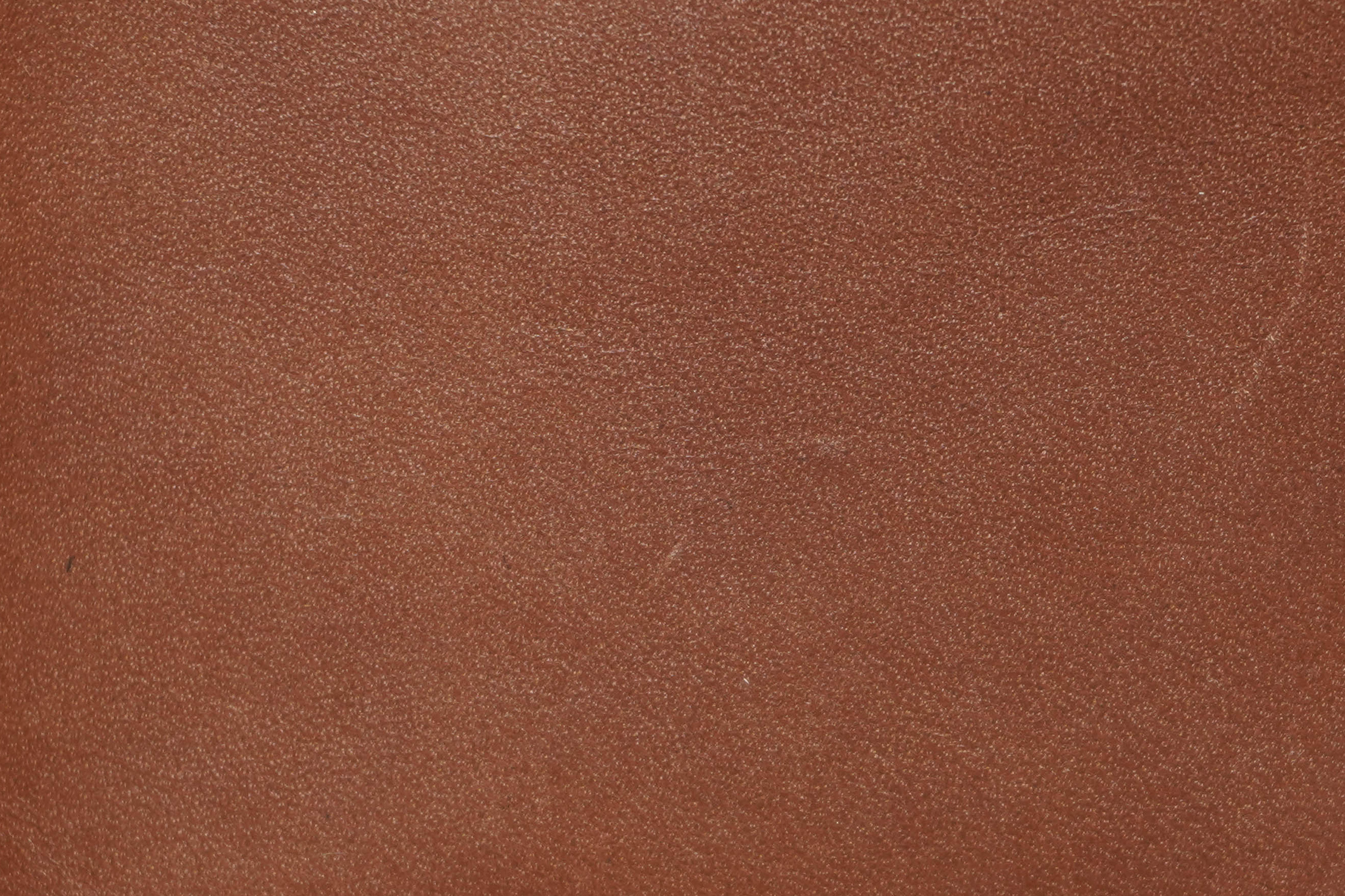 Hide & Seek Bellroy Wallet: The Review – The Guy Corner NYC