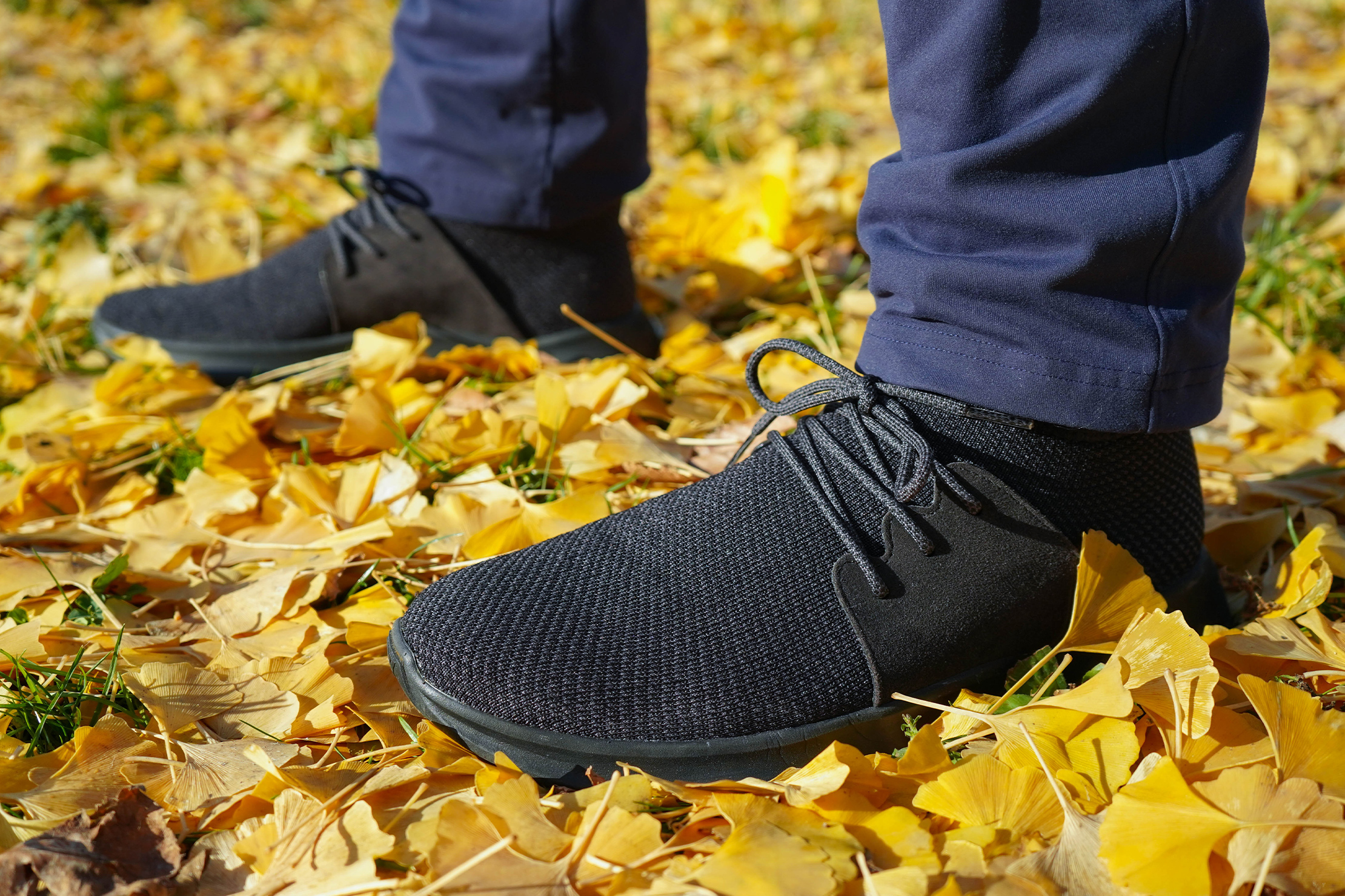 Vessi Everyday Shoes Review | Pack Hacker