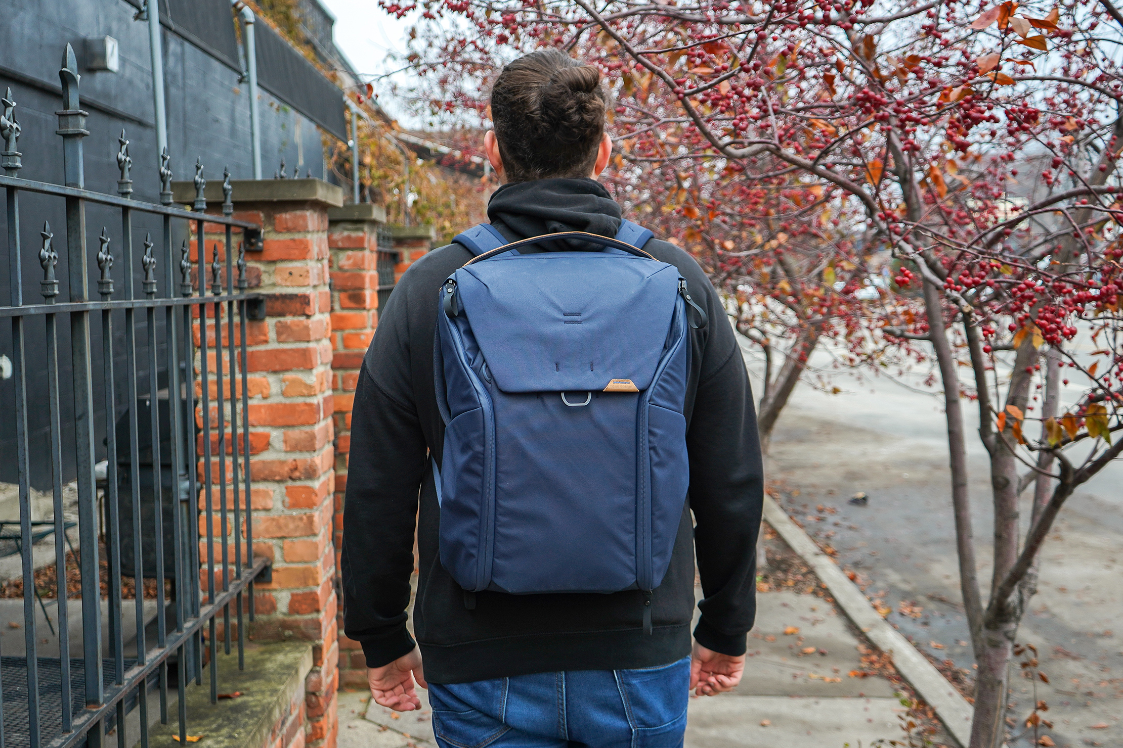Peak Design Everyday Backpack 30L | Pack Hacker
