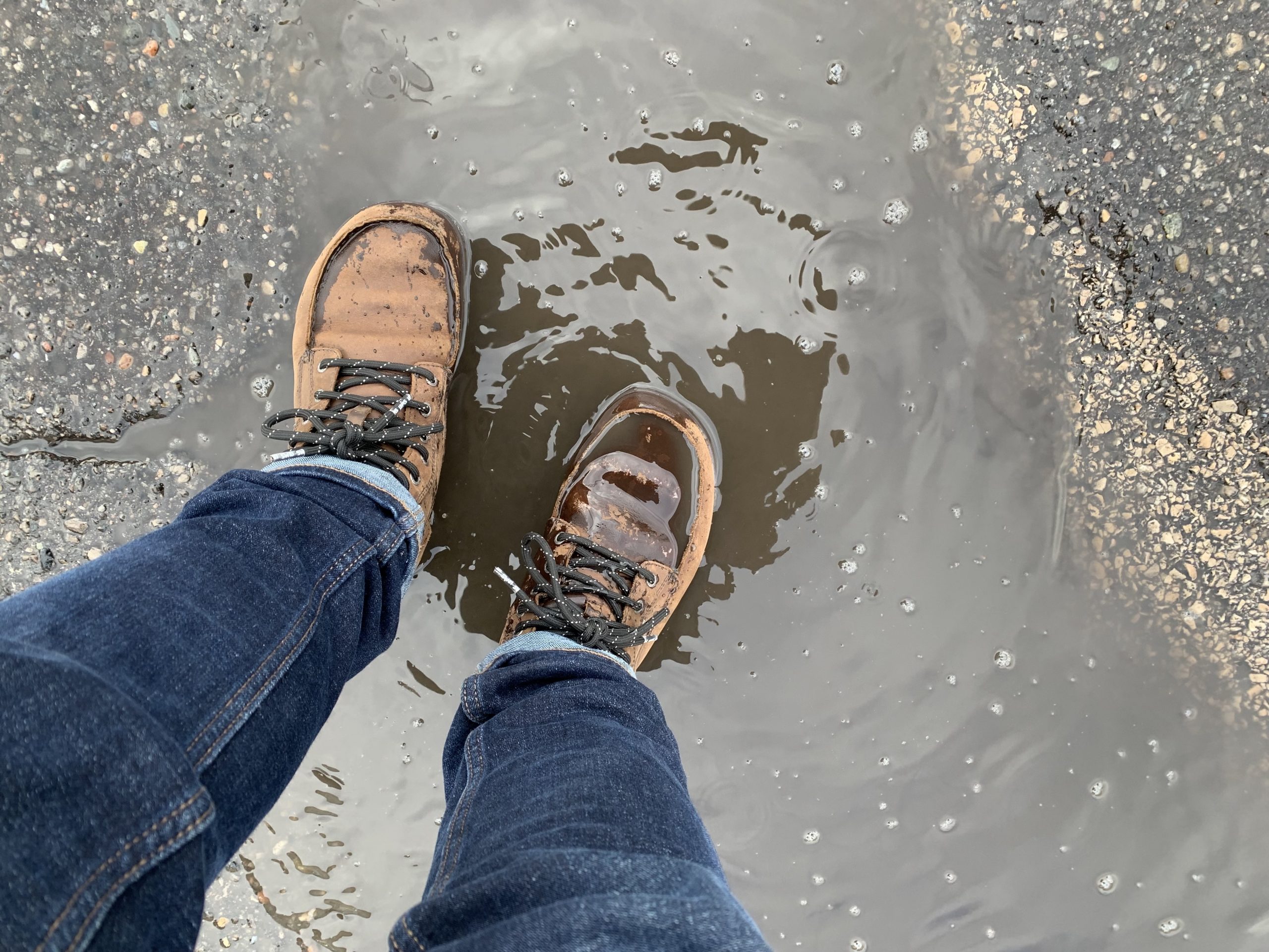 Lems Waterproof Boulder Boots In A Puddle