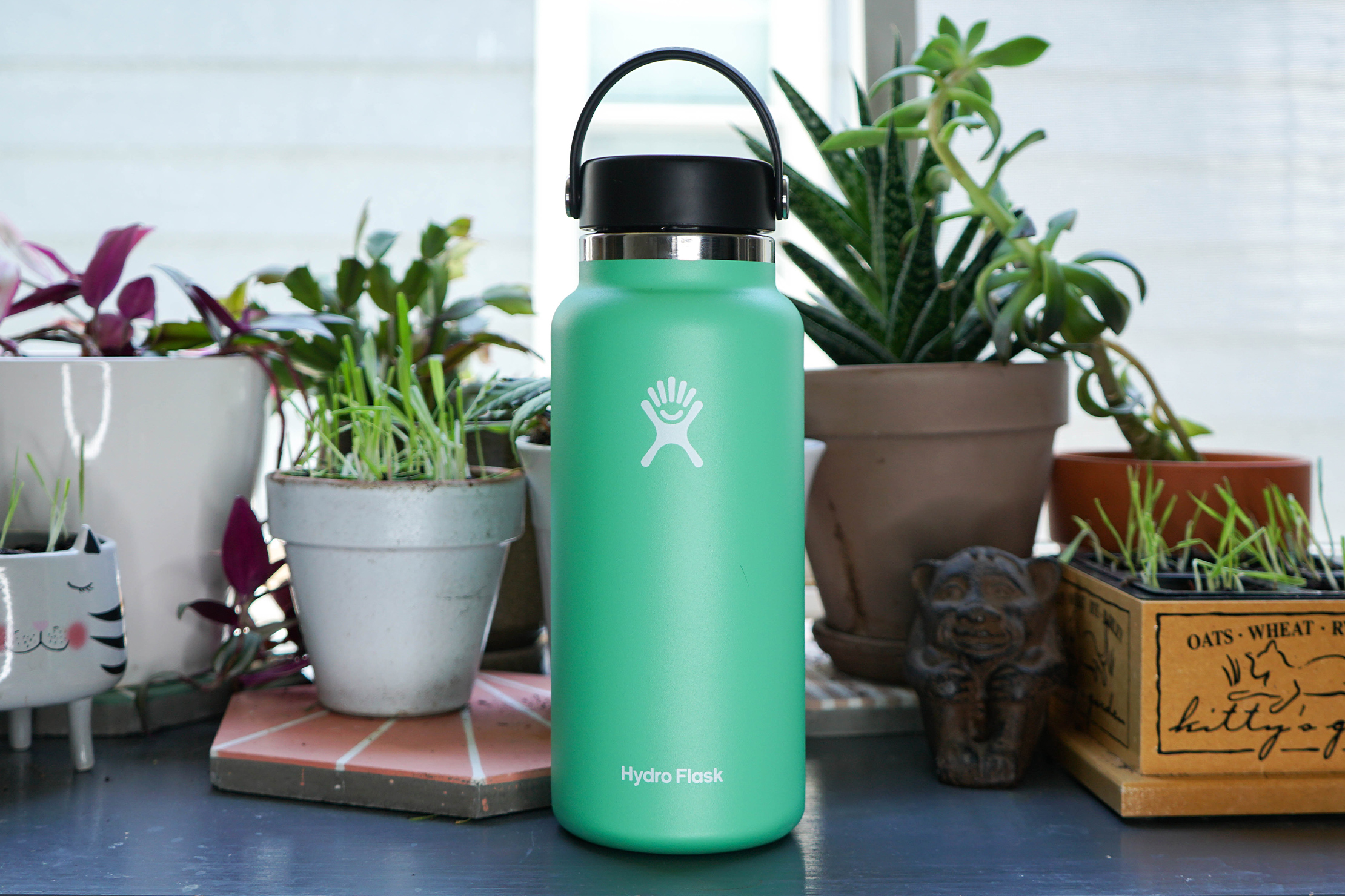 CCYMI Hydro Flask 32oz Wide Mouth Water Bottle with Straw Lid, Mountain  Design & Reviews