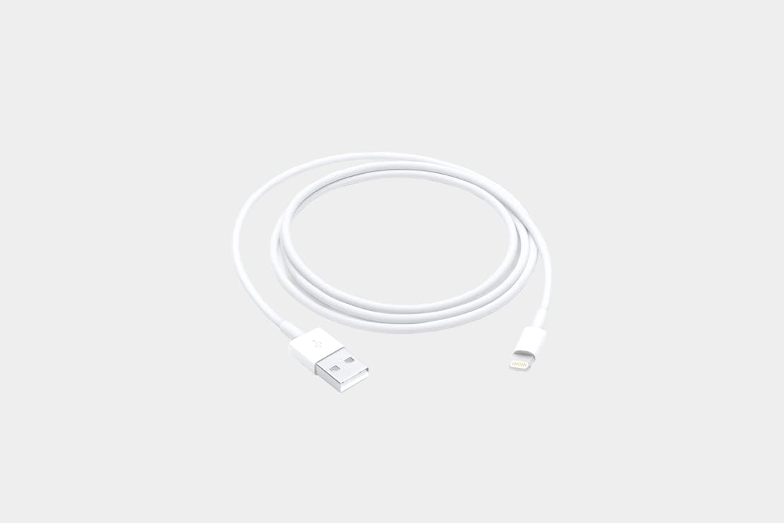 Apple Lightning to USB Cable