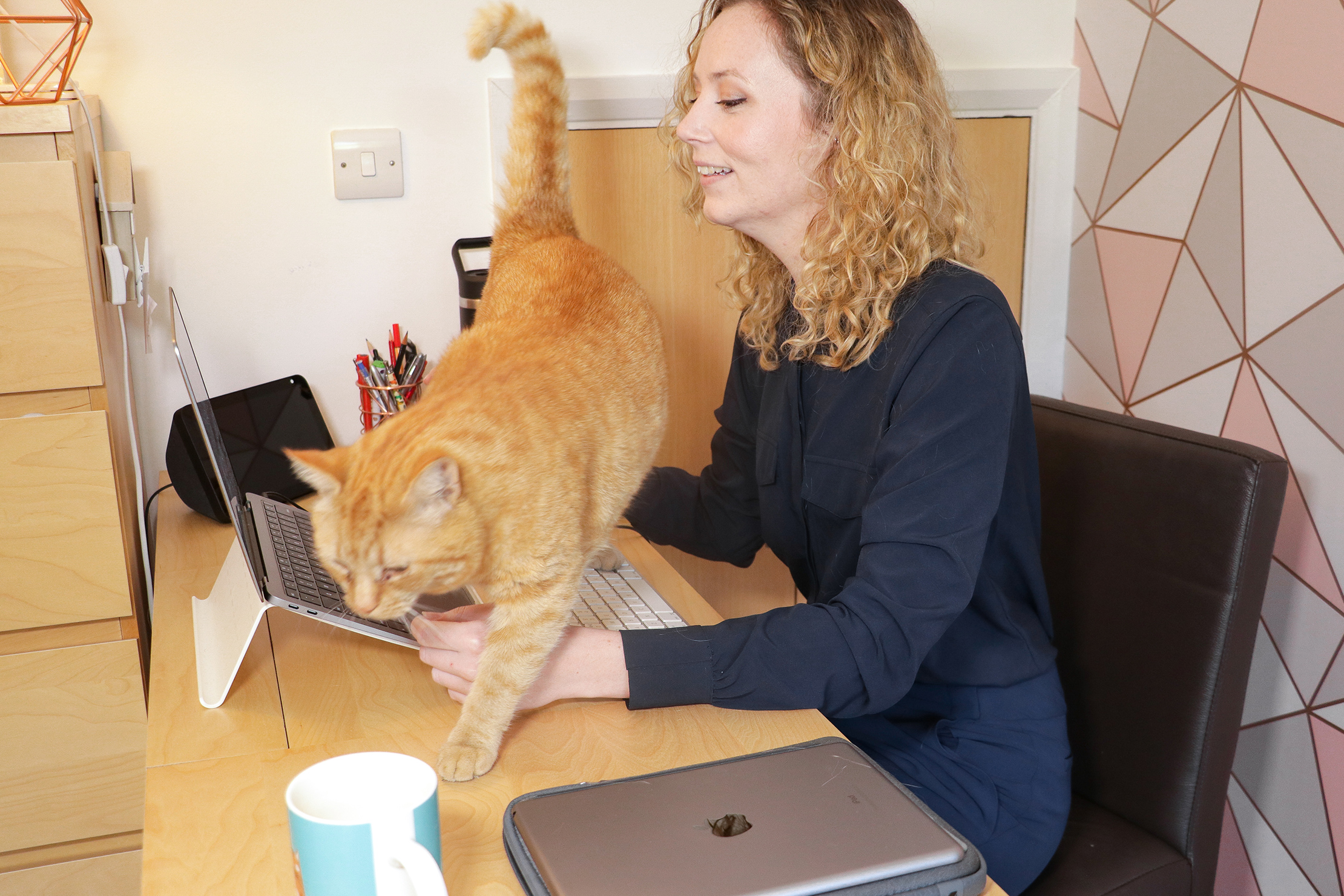 Work from home hack to make your cat think it can distract you, is a  must-watch