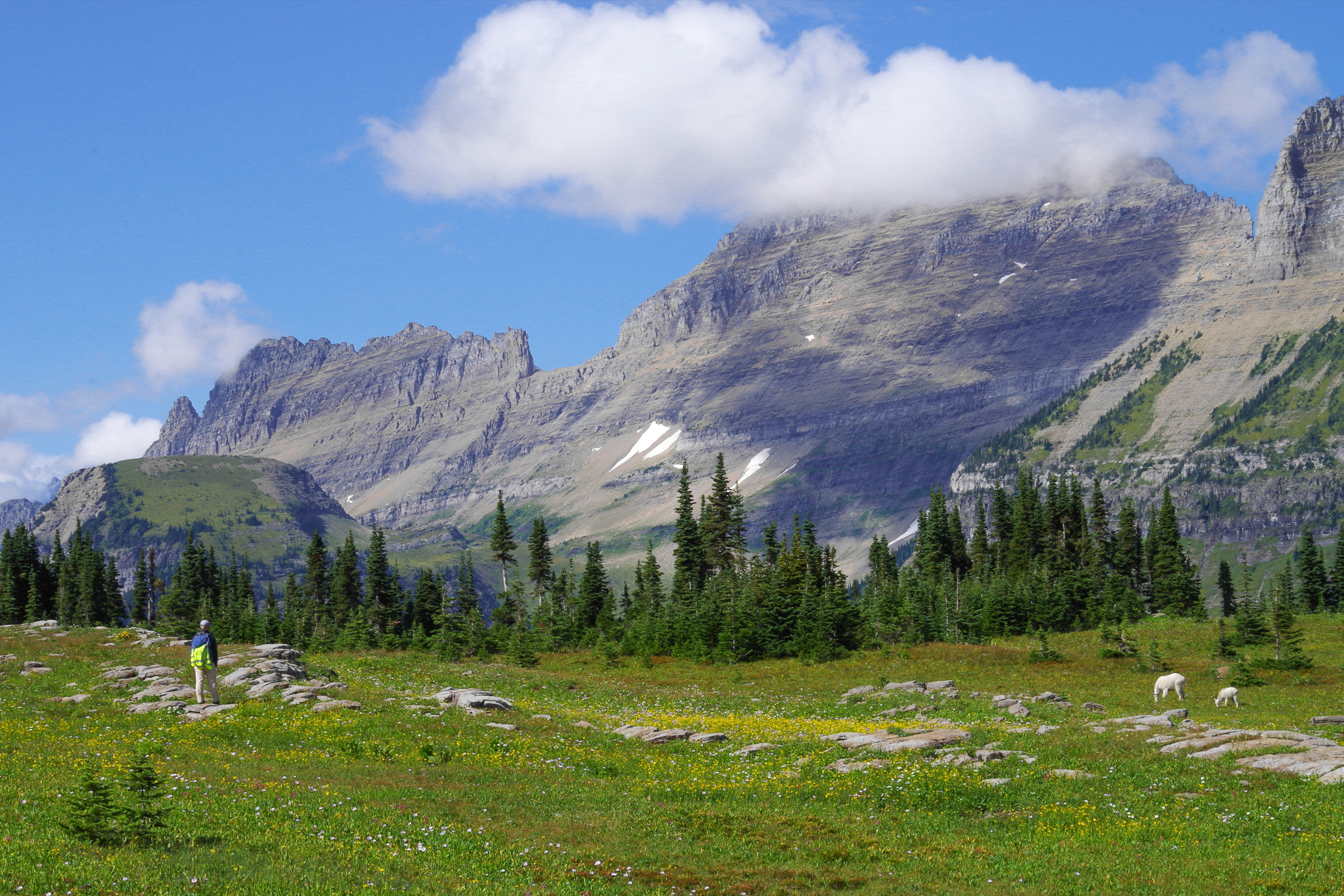 Road Trip To Glacier National Park