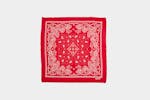 Levi's Paisley Bandana