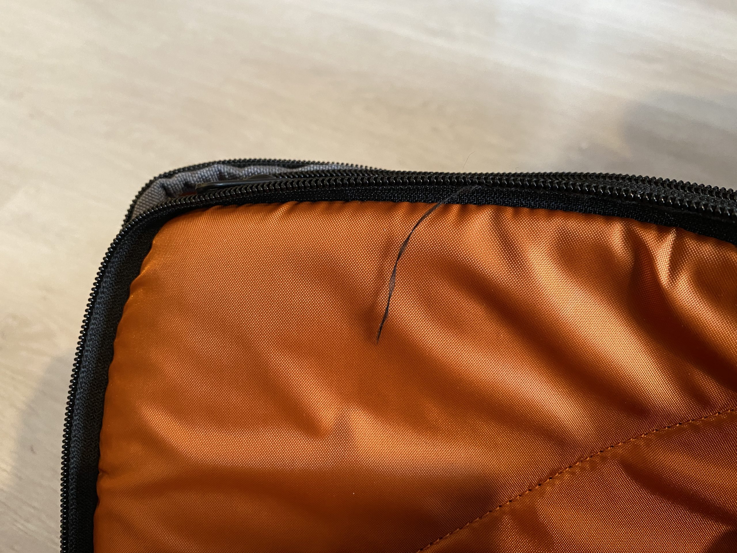 eBags Pro Slim Laptop Backpack Loose Threads Review