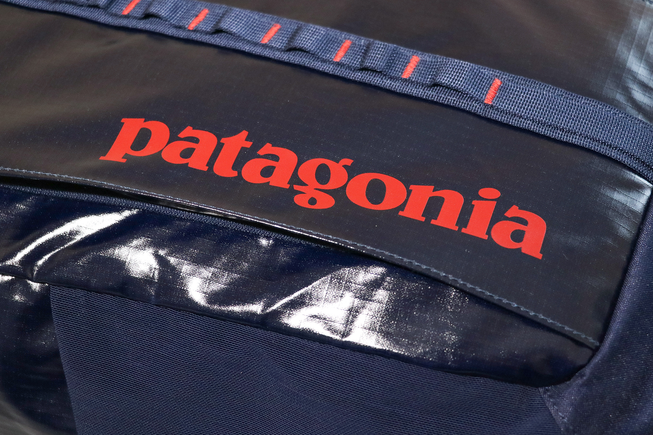 Patagonia Black Hole 25L Backpack Material and Logo