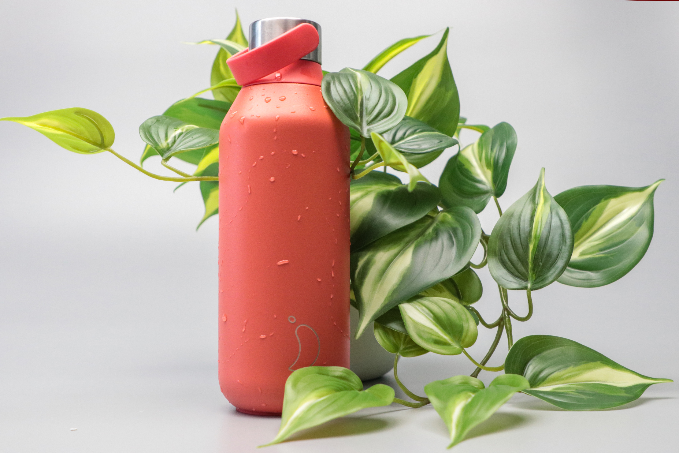 Chilly's Series 2 Water Bottle With Leaves