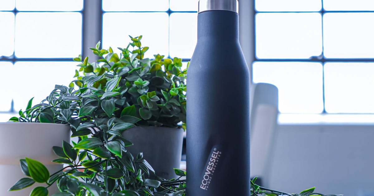 NEW! 2022 ASPEN - Insulated Stainless Steel Water & Wine Bottle with H —  EcoVessel