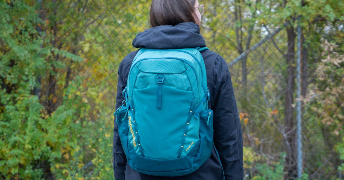 Patagonia paxat stores Clearance