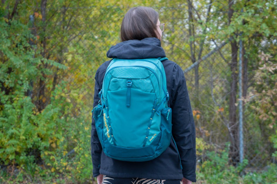 Patagonia paxat stores Clearance