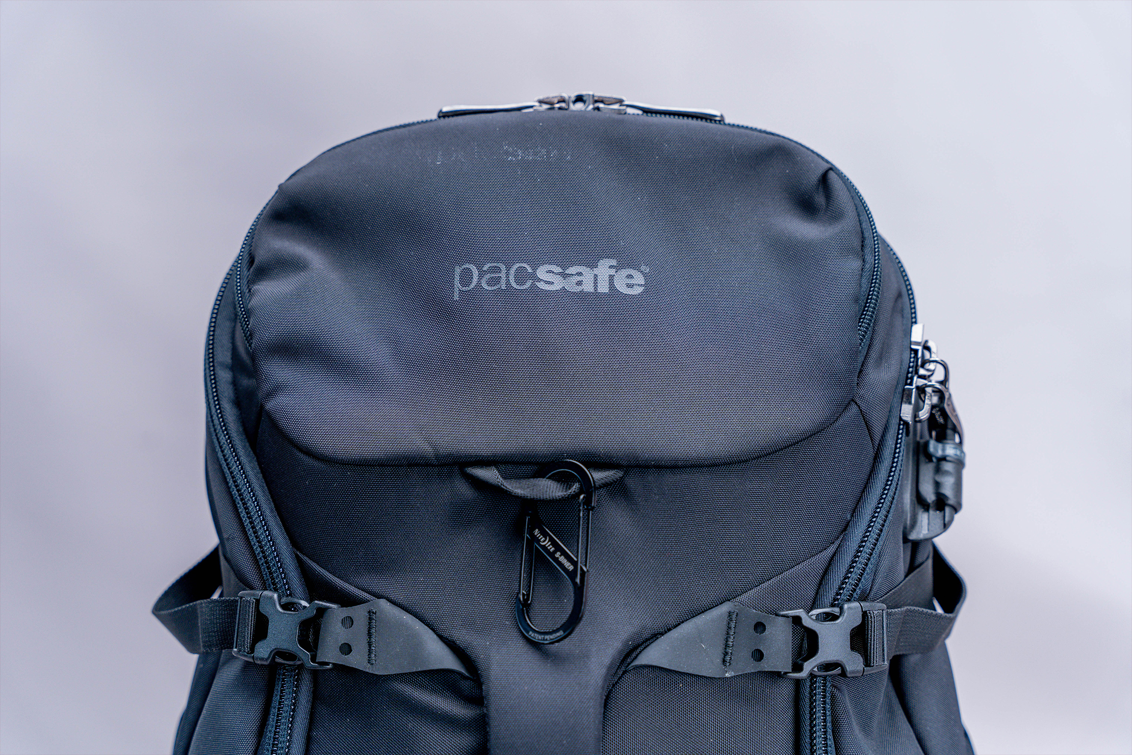 Pacsafe best sale travel backpack