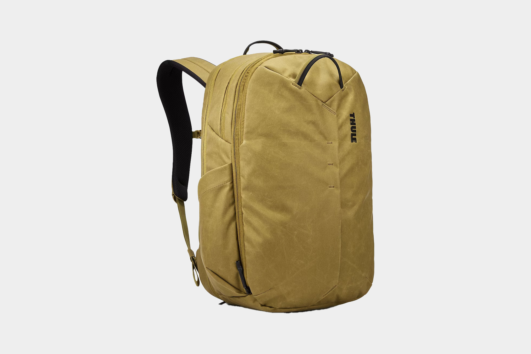 Thule Luggage Indago Backpack – Luggage Pros
