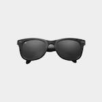 Foldies Polarized Folding Classics V2