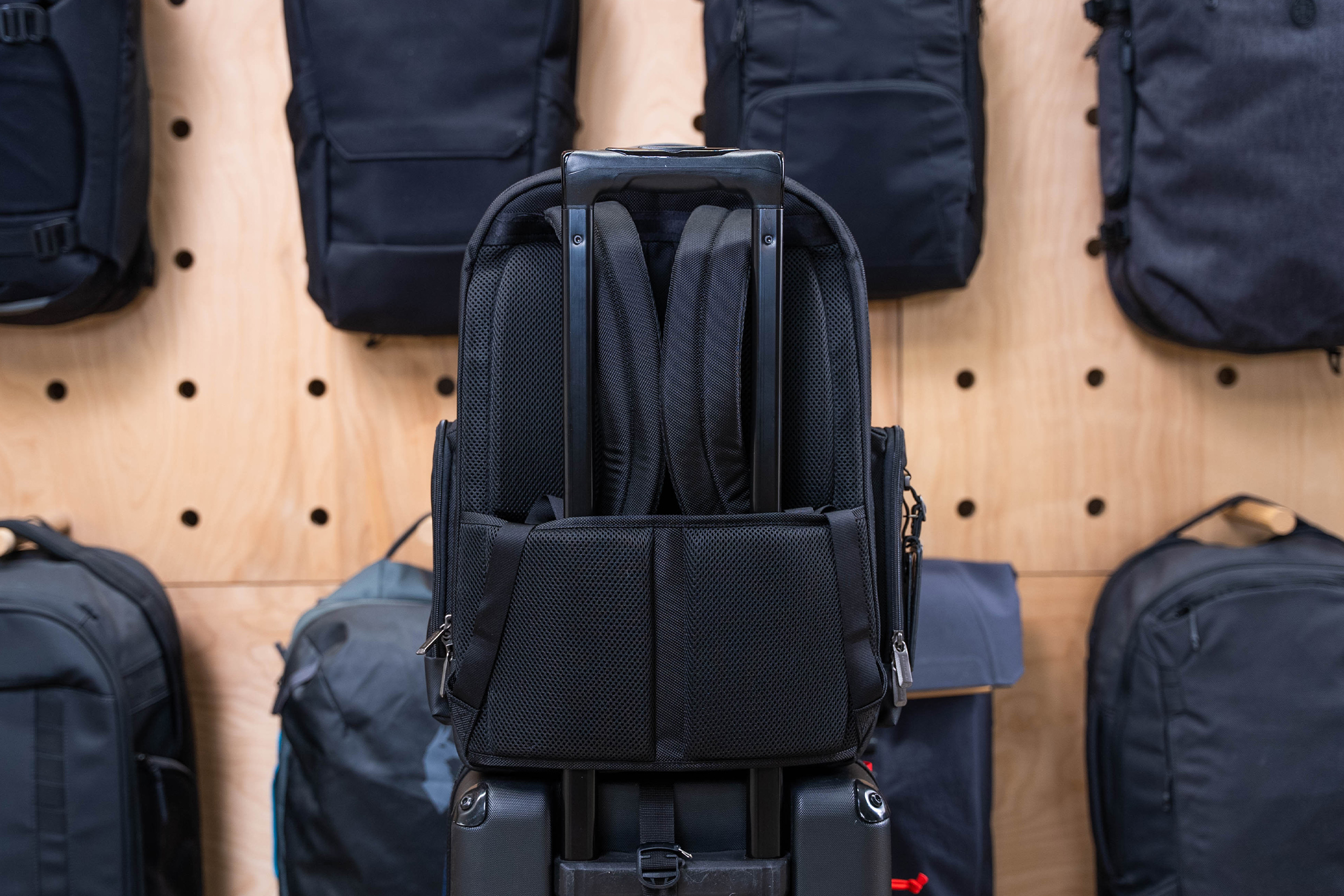 Briggs & Riley Here, There, Anywhere Large Cargo Backpack, Black