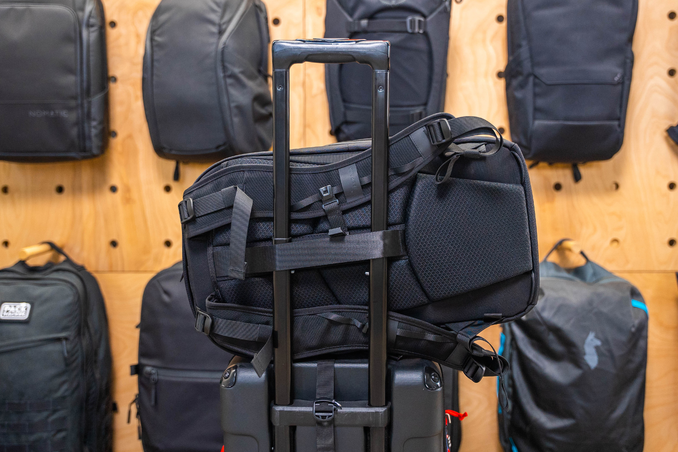 ALPAKA Elements Travel Backpack Luggage