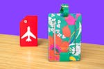 15 Best Luggage Tags for Airline Travel