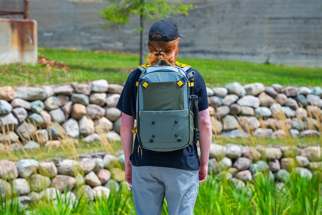 Tropicfeel Hive Backpack Back