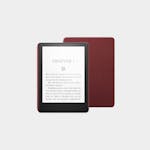 Standard Ebook Reader Case