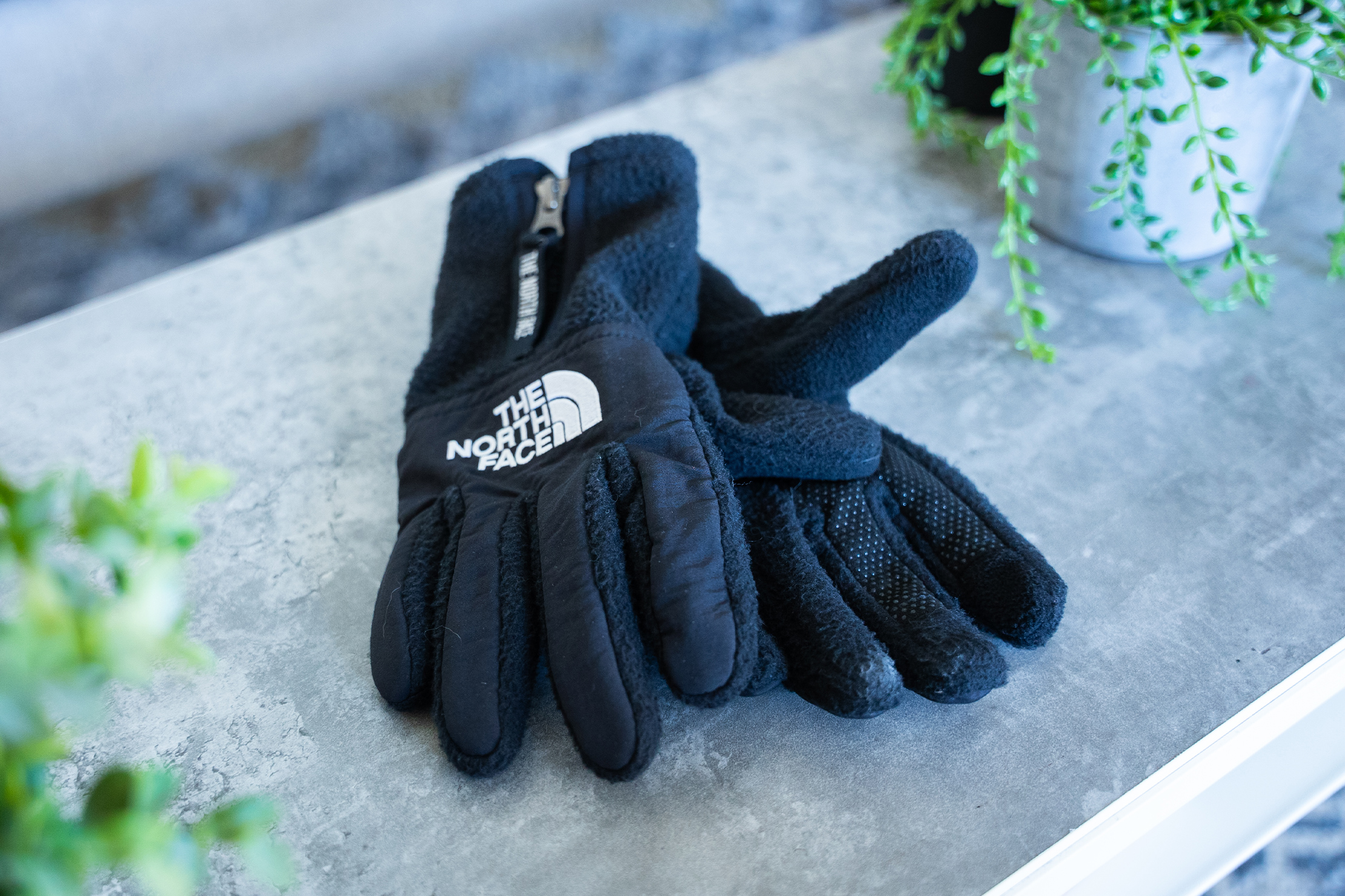 The North Face Denali Etip Gloves Solo