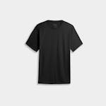 Ibex 24 Hour Short Sleeve Crew