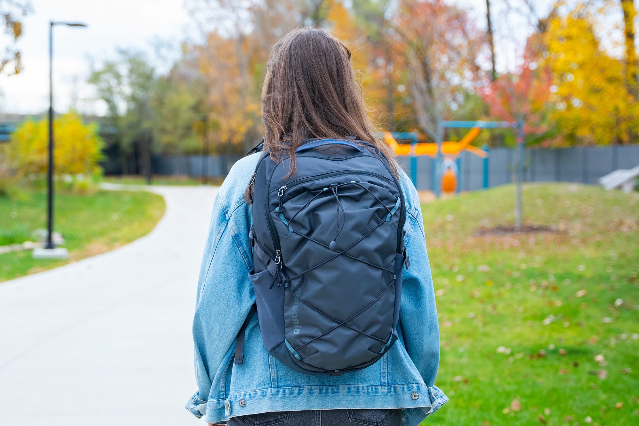 Patagonia Refugio Daypack 30L Back