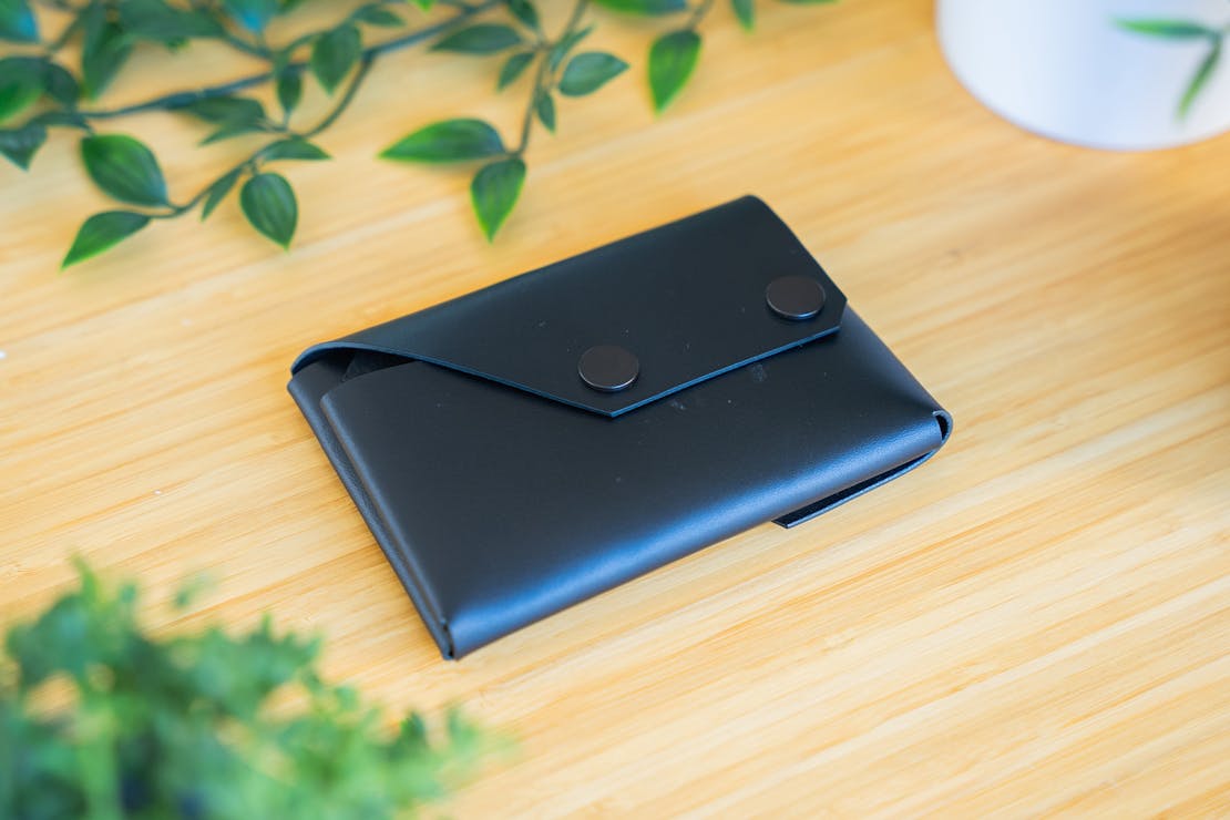 LEMUR Travel WALLET Review