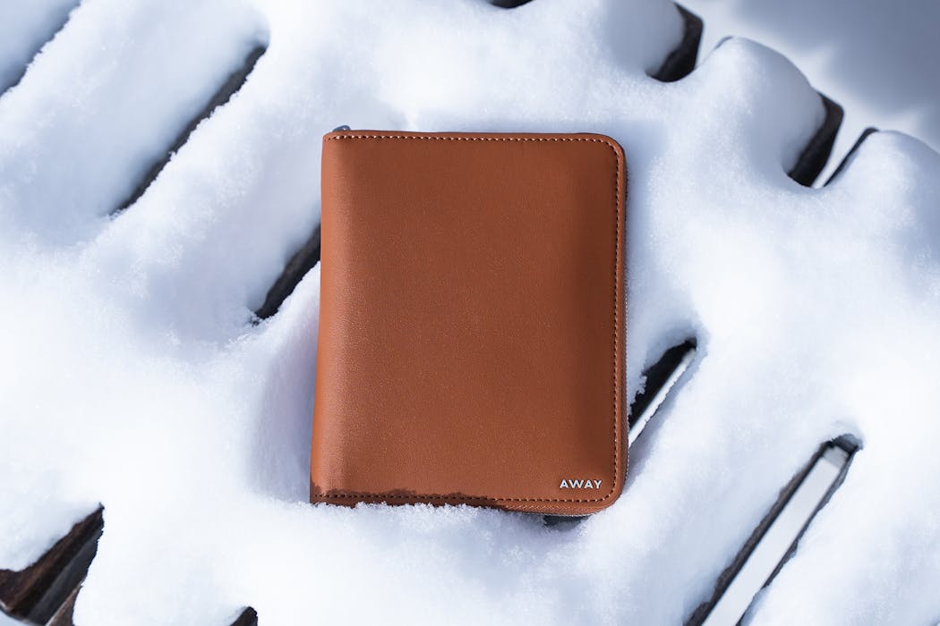 Away Travel Wallet Review