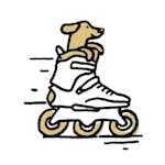 Backcountry Summit Club Shipping Graphic