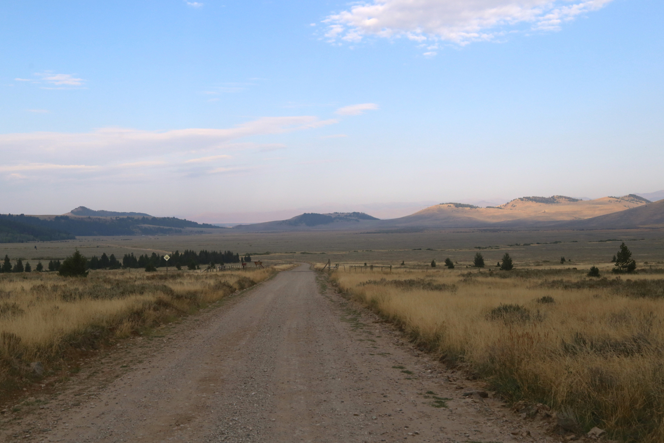 (photo/Shutterstock)