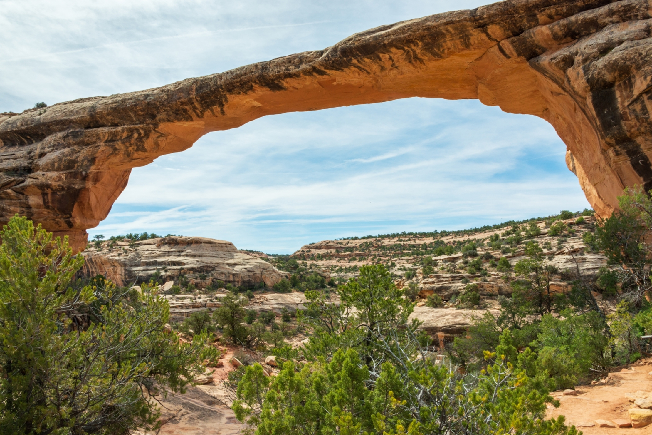 (photo/Shutterstock)