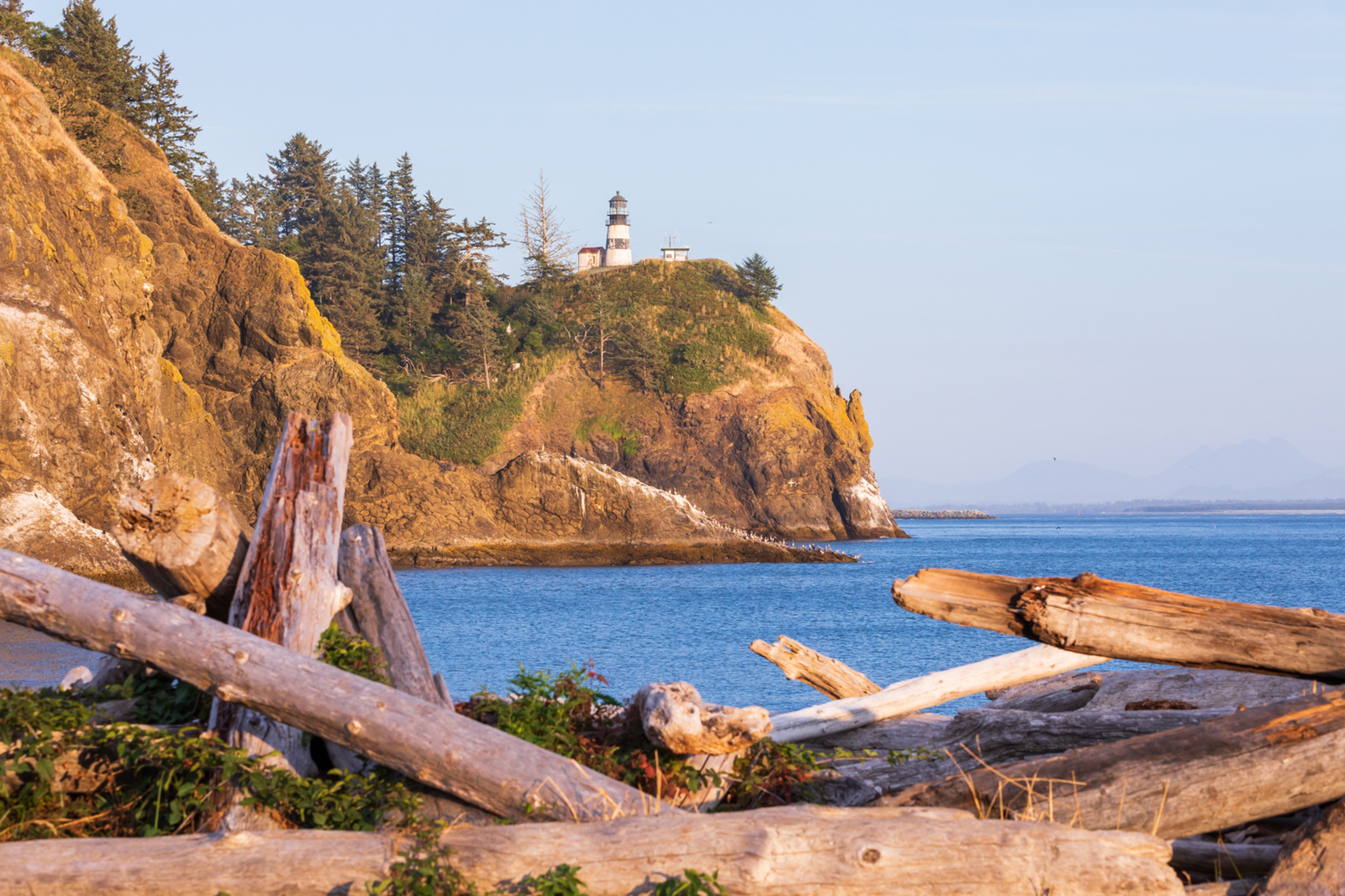 (photo/Shutterstock)