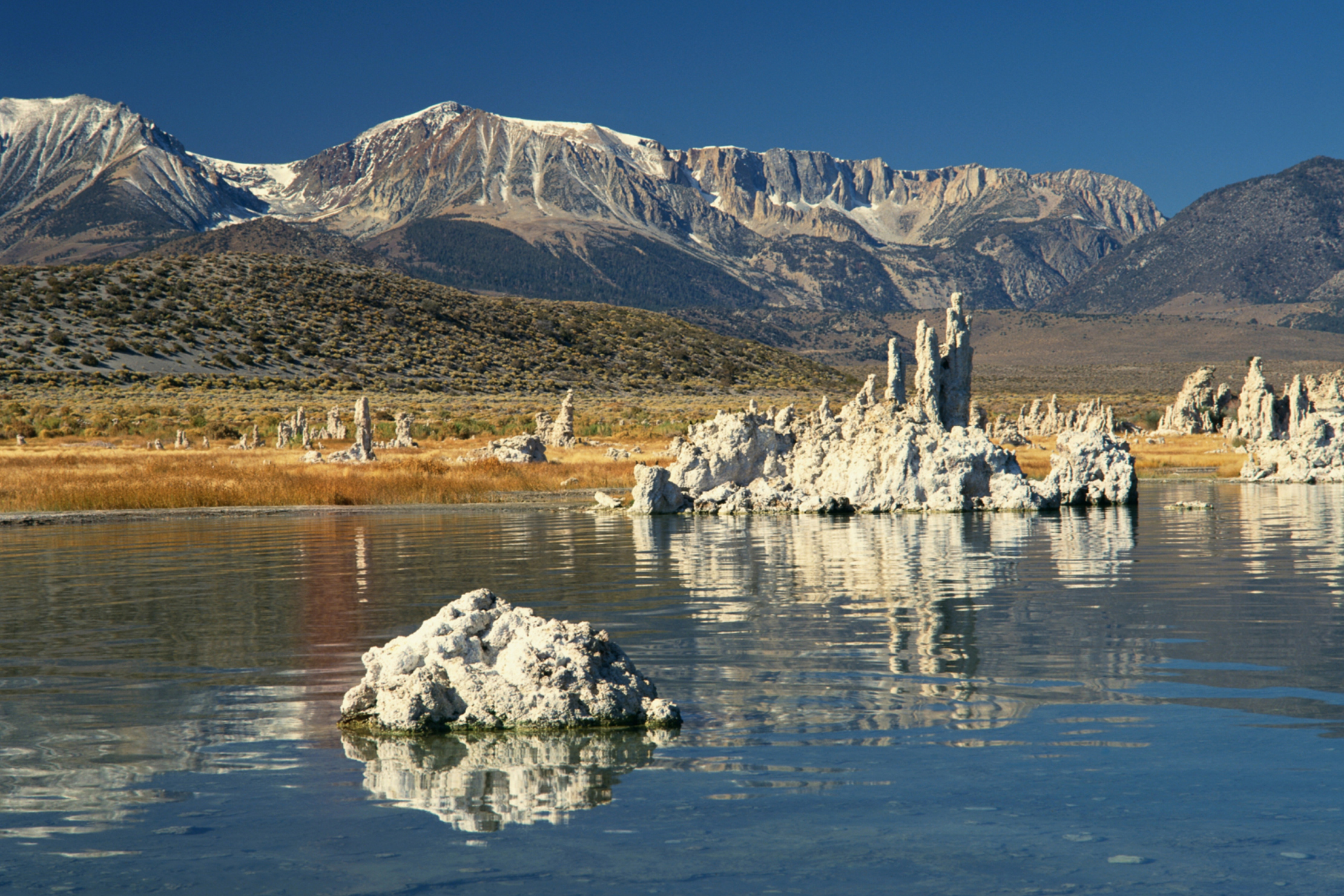 (photo/Shutterstock)