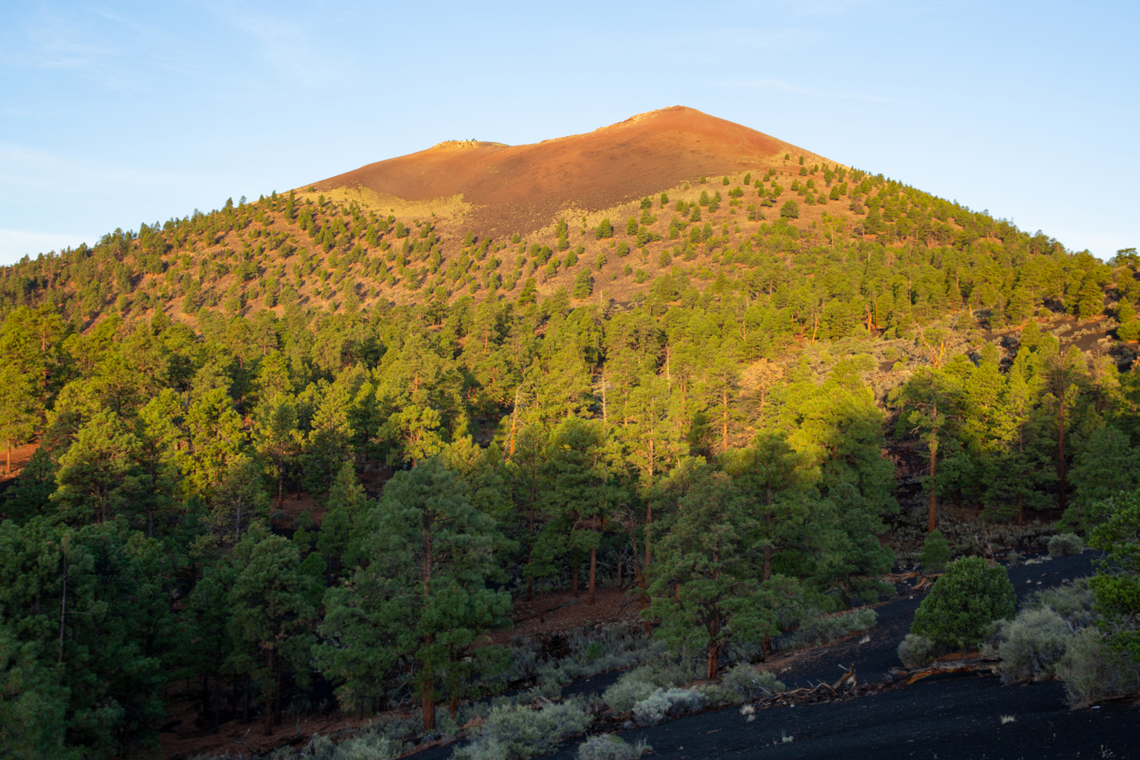 (photo/Shutterstock)