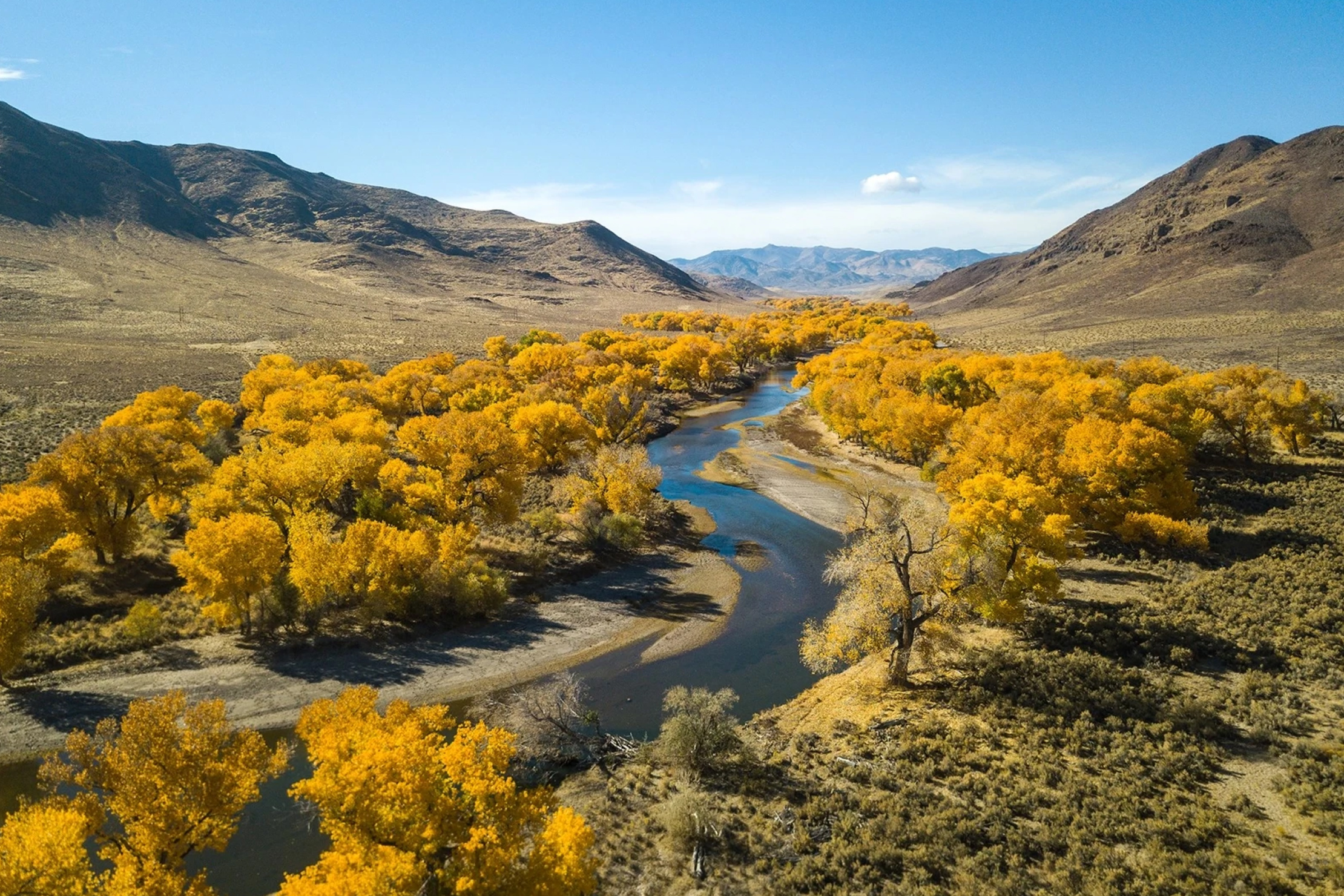 East Fork of the Carson River