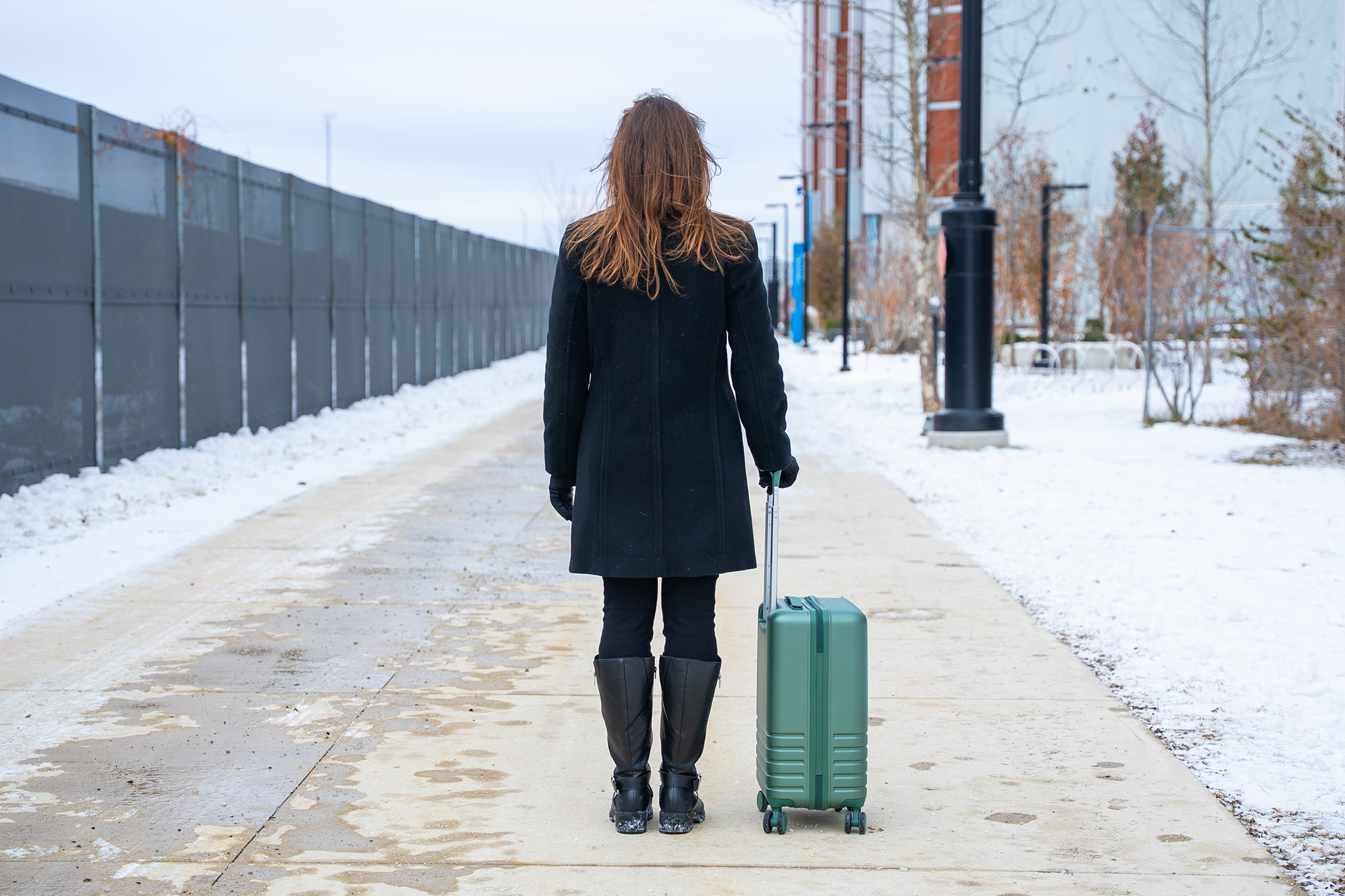 BAGSMART Getaway 19″ Carry-On Back