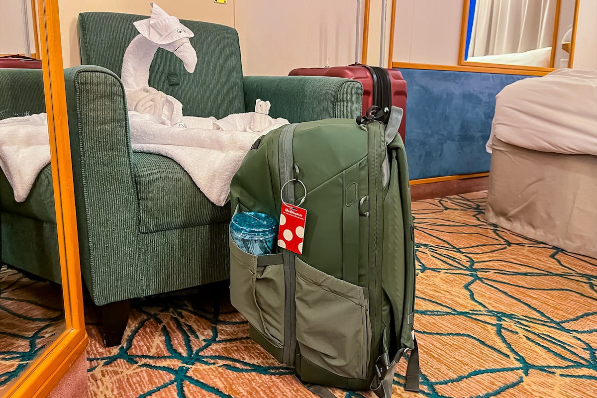 Peak Design Travel Backpack 2-in-1 Hotel