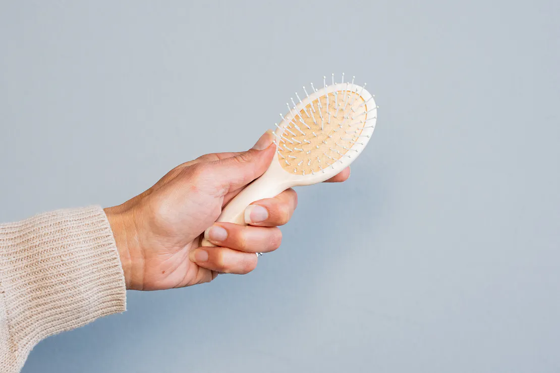 The 6 Best Travel Hair Brushes | Pack Hacker