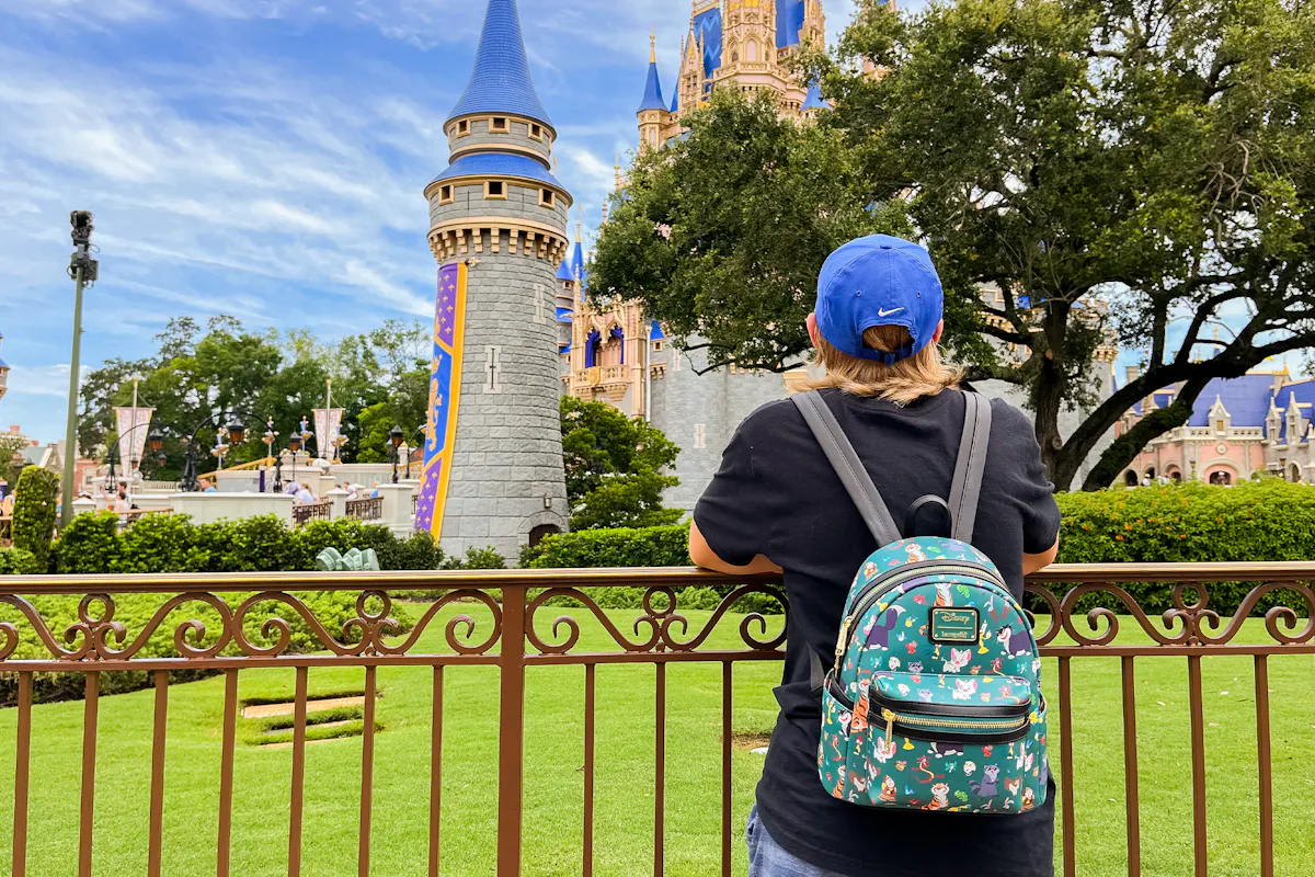 The Best Backpacks for Disney, Universal, and More Amusement Parks Castle
