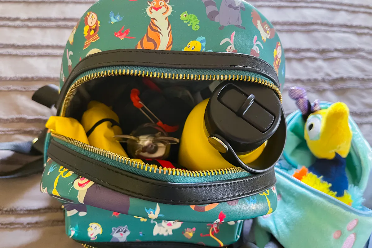 The Best Backpacks for Disney, Universal, and More Amusement Parks Bag Packed