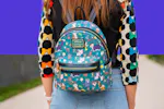 The Best Backpacks for Disney, Universal, and More Amusement Parks