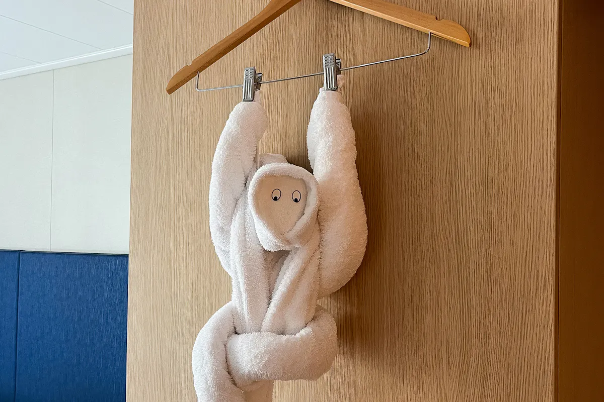 Cruise Essentials To Pack Before Setting Sail Towel Animal